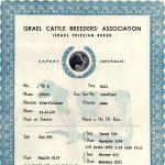 گواهی خرید گاو از یک شرکت اسرائیلی