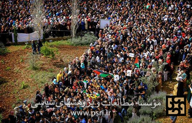 18 شهید و 110 زخمی فلسطینی ازابتدای 2014 