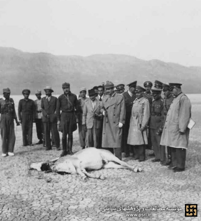 غلامرضا پهلوی در شکارگاه